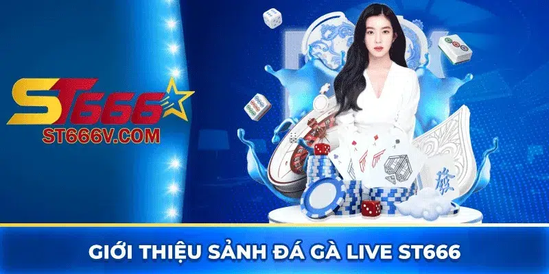 Giới thiệu sảnh đá gà live ST666