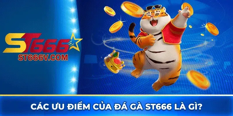 Các ưu điểm của đá gà ST666 là gì?